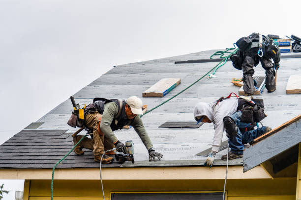 Professional Roof Installation technician working in Harlan, IN